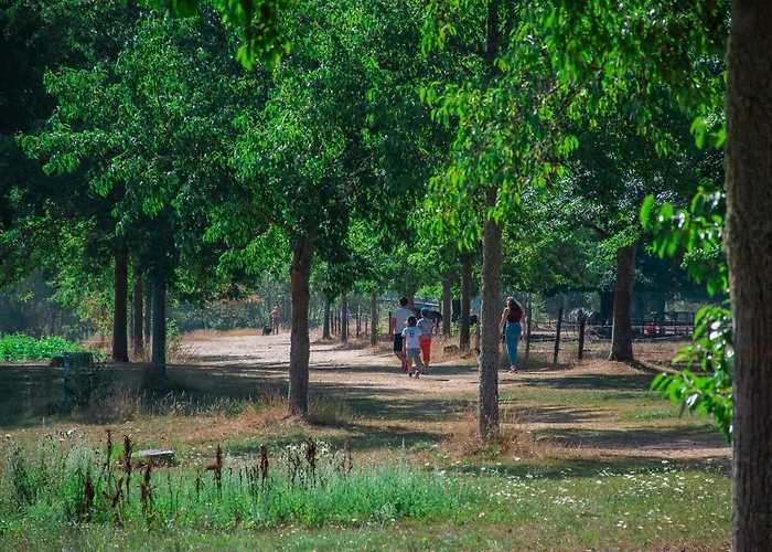 Village De De La Foret De Ganigal Prázdninový dům